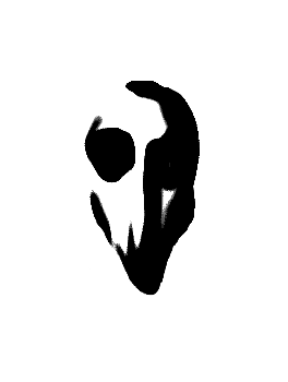 019
